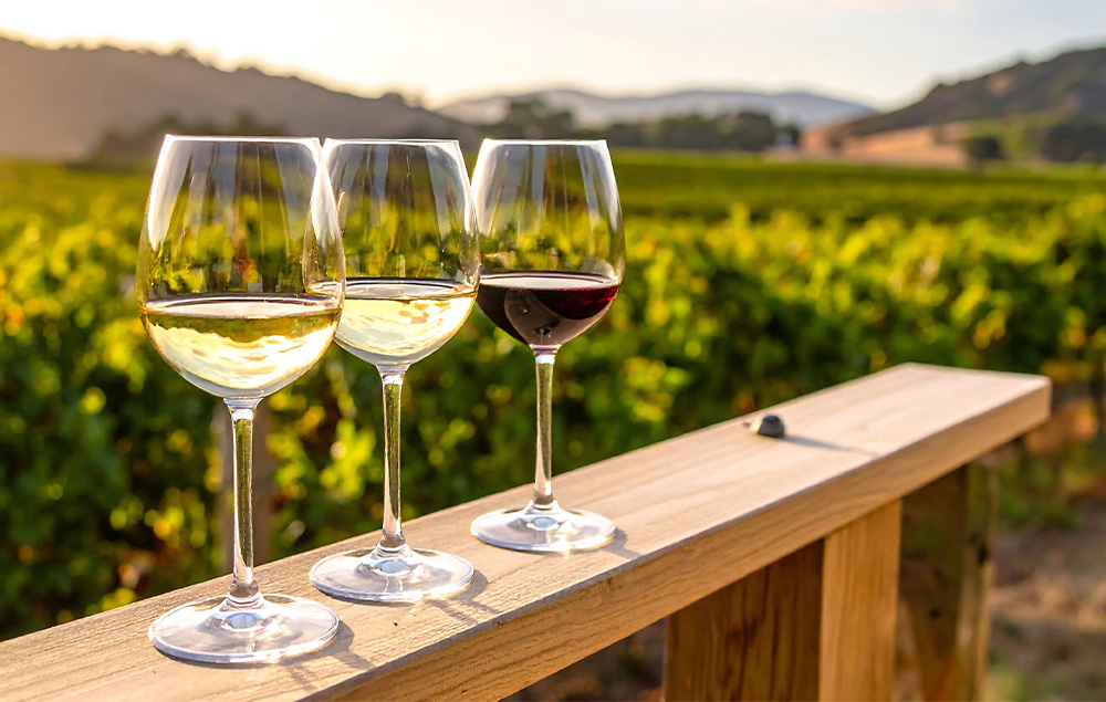 Between Imperial Splendor and Princely Vineyards